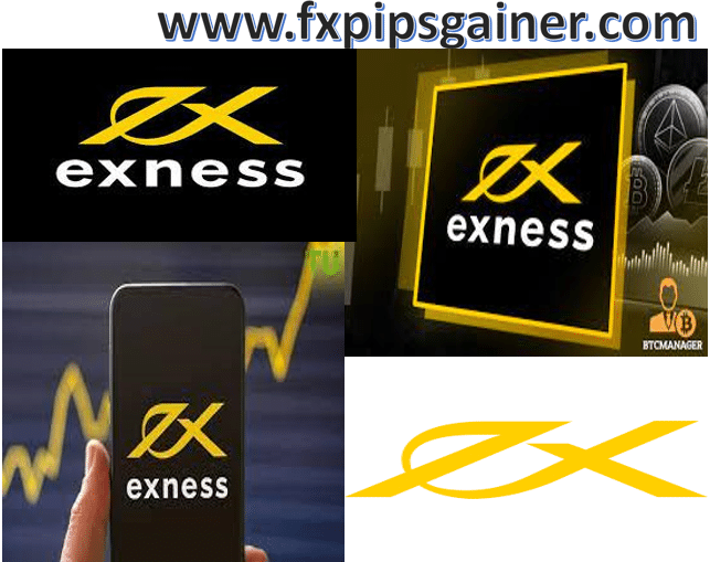 Exploring the Future of Trading with Exness Web Platform Exploring the Future of Trading with Exness Web Platform